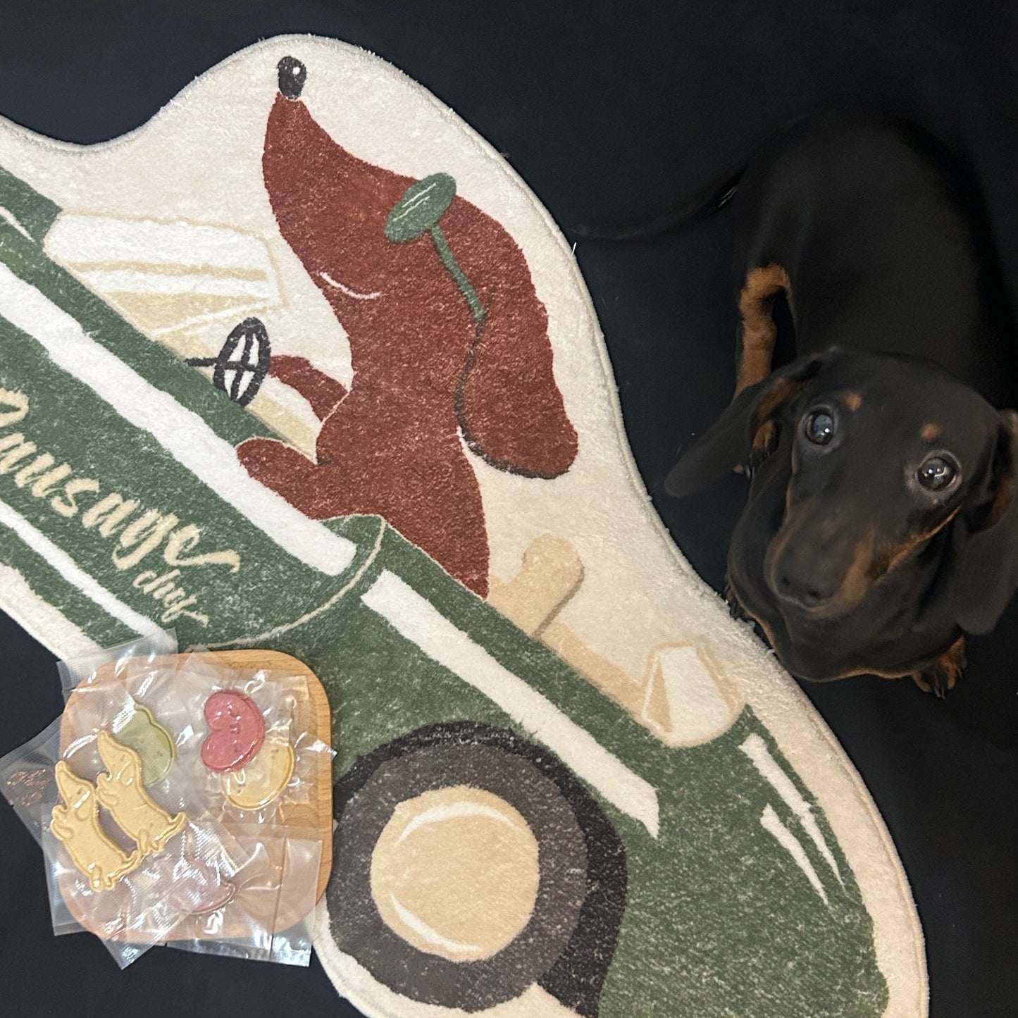 Original Design For The Surrounding Area Of Dachshund Dog, Floor Mat For Entering Households, Anti Slip And Absorbent Carpet