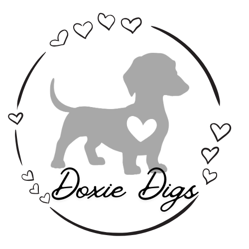 Joshua Tree Inspirations